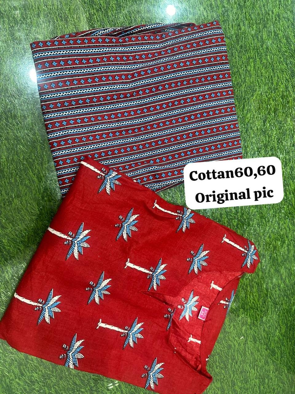 Ivory Cotton Pakistani Co-ords set